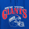 New York Giants Hoodie Sweatshirt NFL Artex