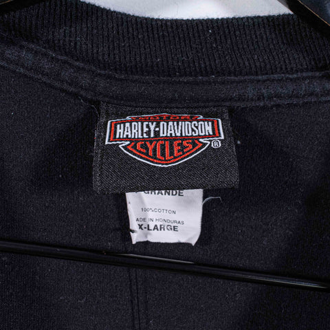 Harley Davidson Motorcycles T-Shirt Pin Up Biker Flame