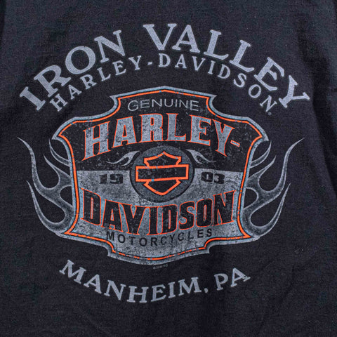 Harley Davidson Motorcycles T-Shirt Pin Up Biker Flame