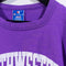 Northwestern University Champion T-Shirt Single Stitch Made in USA