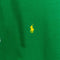 Polo Ralph Lauren Pony Hoodie Sweatshirt