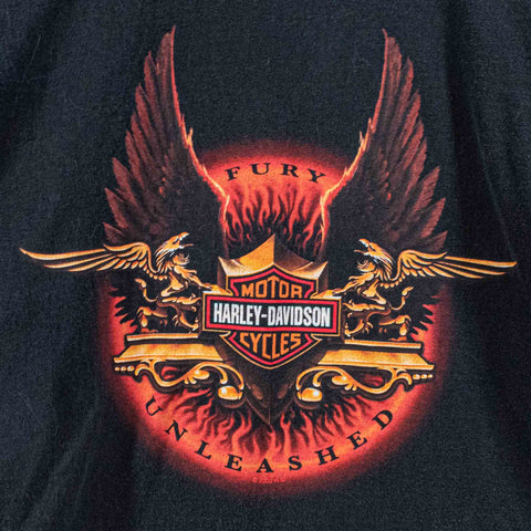 Harley Davidson Motorcycles Eagle Flame T-Shirt Fury Unleashed