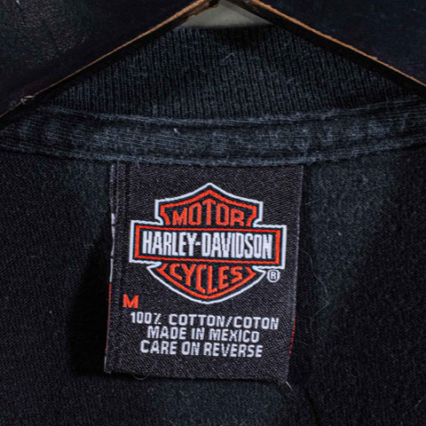 Harley Davidson Motorcycles Eagle Flame T-Shirt Fury Unleashed