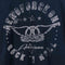 Aerosmith Aeroforce One Rock N Roll T-Shirt