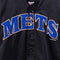 New York Mets Jersey Alomar True Fan MLB