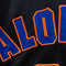 New York Mets Jersey Alomar True Fan MLB