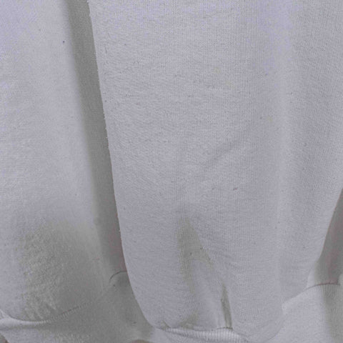 San Francisco Painted Ladies Sweatshirt