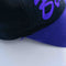 Buffalo Bison Snapback Hat Script