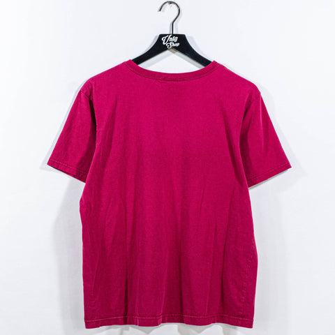 Northern Reflections Teddy Bear USA Stamp T-Shirt