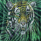 Habitat Tiger Tie Dye T-Shirt Busch Gardens Extinction