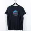 Patagonia 1973 Mountain Logo T-Shirt Slim Fit