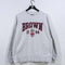 Champion Reverse Weave Sweatshirt Brown University