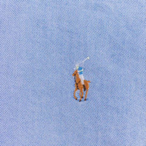 Polo Ralph Lauren Pony Button Down Oxford Shirt