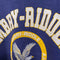 Embry Riddle Aeronautical Academy Sun Faded Sweatshirt