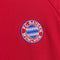 FC Bayern Munich Adidas Hoodie Sweatshirt Soccer Futbol Blokecore