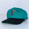 Florida Marlins MLB Baseball Snapback Hat Twins Enterprise