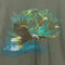 Busch Gardens Eagle Flying T-Shirt Sun Faded