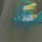 Busch Gardens Eagle Flying T-Shirt Sun Faded