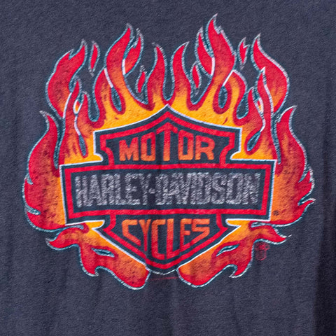 Harley Davidson Motorcycles Flame Long Sleeve T-Shirt Fort Worth