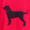 The Black Dog Martha's Vineyard T-Shirt 1998