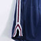 PENN University of Pennsylvania Mesh Shorts Maple