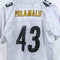 Pittsburgh Steelers NFL Reebok Jersey Troy Polamalu