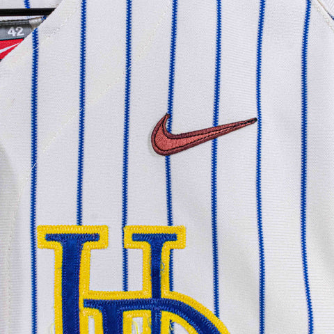 University of Delaware NIKE Baseball Jersey Game Used