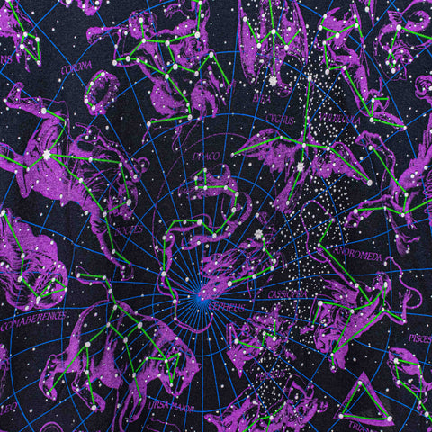 Walt Disney World Liquid Blue Constellations Zodiac All Over Print T-Shirt