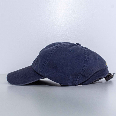 Polo Ralph Lauren Pony Hat