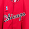 Chicago Bulls NBA NIKE Warm Up Snap Jersey