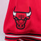 Chicago Bulls NBA NIKE Warm Up Snap Jersey