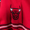 Chicago Bulls NBA NIKE Warm Up Snap Jersey