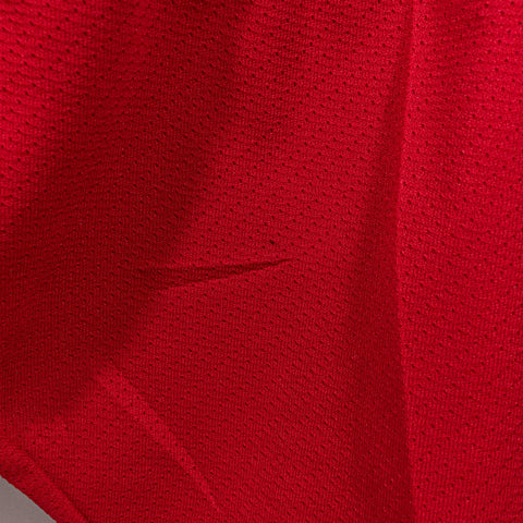 Detroit Red Wings NHL CCM Hockey Jersey