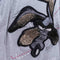 Lot 29 Luxe Wile E Coyote T-Shirt