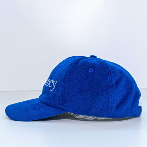 Central Park Conservancy Hat New York City Nissin