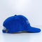 Central Park Conservancy Hat New York City Nissin
