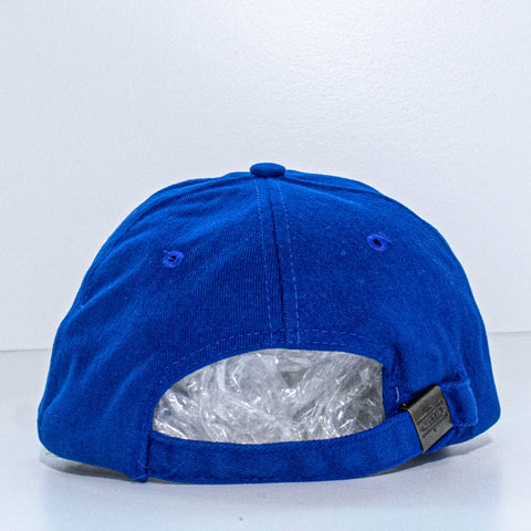Central Park Conservancy Hat New York City Nissin