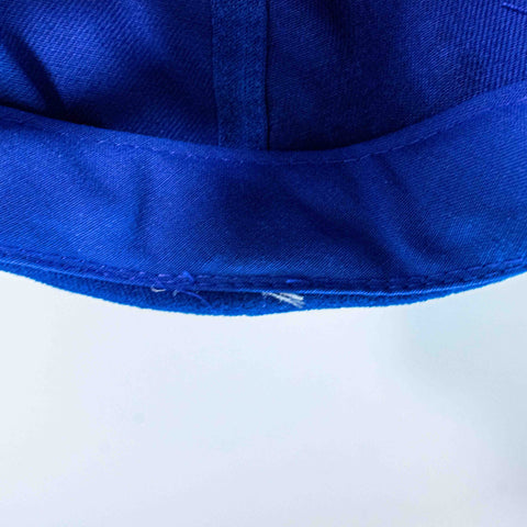 Central Park Conservancy Hat New York City Nissin