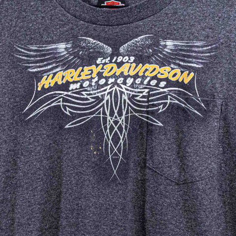 Harley Davidson Motorcycles T-Shirt Long Sleeve Wings Legendary