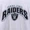 Oakland Raiders NFL Pullover Sweatshirt Lee Sport Embroidered Football