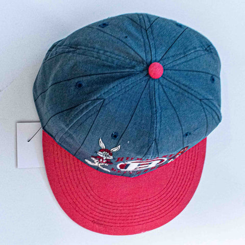 Looney Tunes Burbank Blitzers Bugs Bunny Daffy Duck Pinstripe Snapback Hat