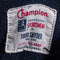 Todd Snyder x Champion Striped Turtleneck Sweatshirt