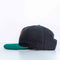 Miami Dolphins AJD Signature Snapback Hat NFL Football