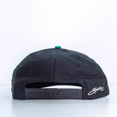 Miami Dolphins AJD Signature Snapback Hat NFL Football