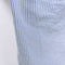Polo Ralph Lauren Pony Striped Oxford Button Down Shirt
