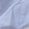 Polo Ralph Lauren Pony Striped Oxford Button Down Shirt