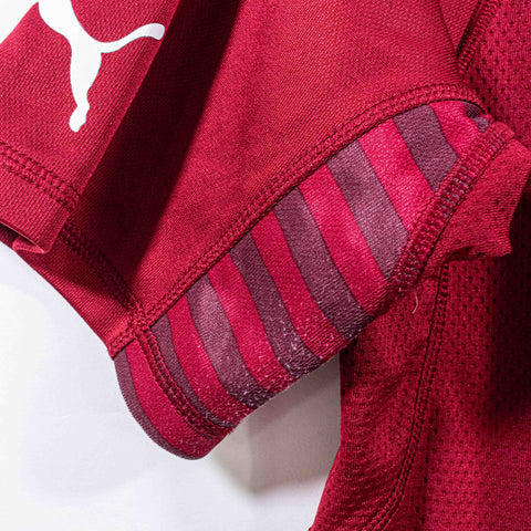 Italy Puma Goalkeeper Jersey 2014