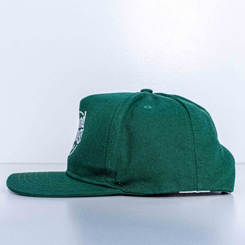 Poland Spring Water Promo Snapback Hat