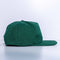 Poland Spring Water Promo Snapback Hat
