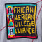 African American College Alliance Logo T-Shirt